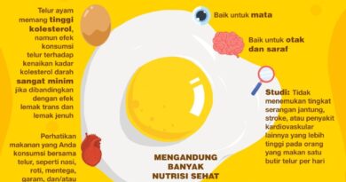 Apa Benar Makan Telur Saban Hari Bikin Kolesterol Naik? Ini Kata Pakar