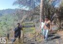 2 Ha Lahan Di Hutan Lindung Kuansing Riau Dibakar, 3 Pelaku Ditangkap