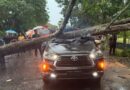 Ipda Almu Tewas Usai Mobil Yang Dikemudikannya Tertimpa Pohon Di Tanjabtim