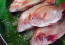 Resep Ikan Kuah Kuning Yang Berempah Gurih Menyegarkan